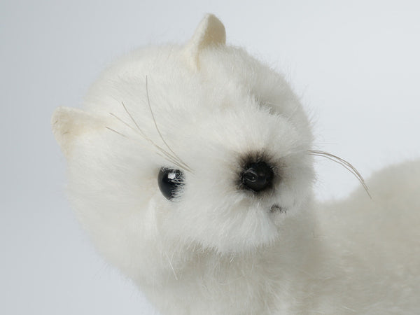 "Jessie" Ermine