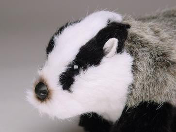 "Bradbury" Badger