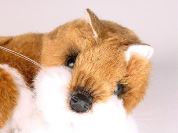 "Tails" Fox