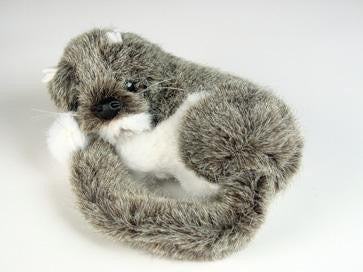 "Bertram" Dormouse