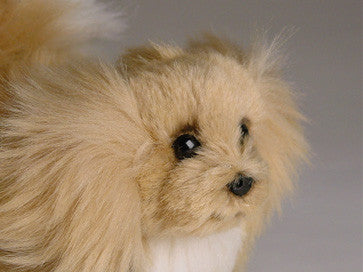 "Fifi" Pekingese