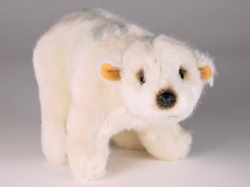 "Buster" Polar Bear