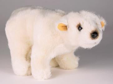 "Buster" Polar Bear