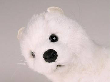 "Pop" Ermine