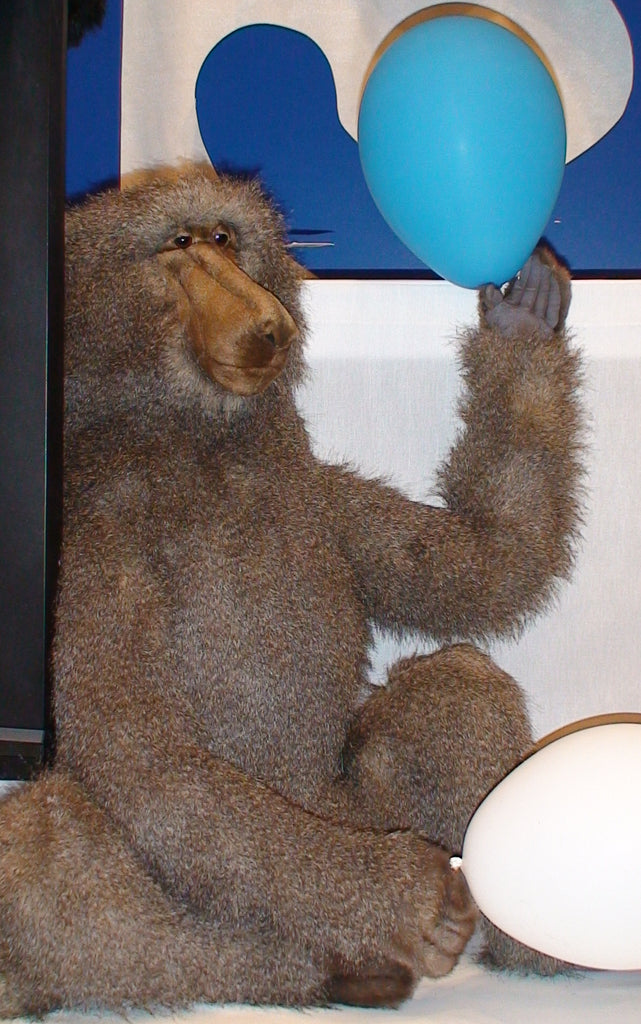 "Rafiki" Baboon