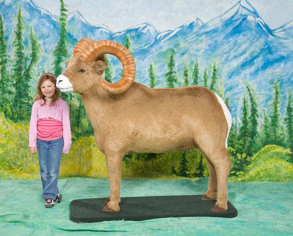 "Emmanuel" Bighorn Sheep