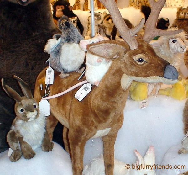 "Roebuck" White Tail Deer