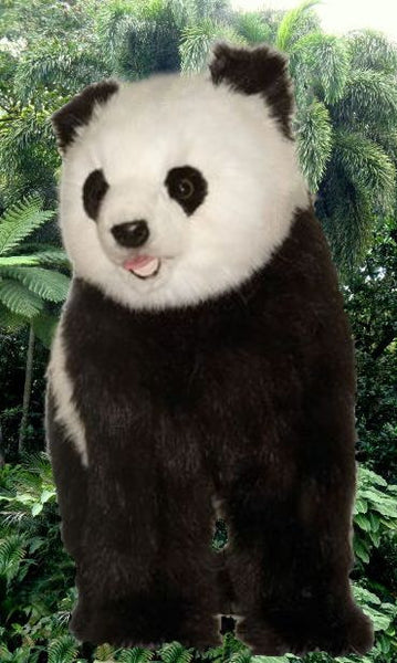 "Ming" Panda Bear