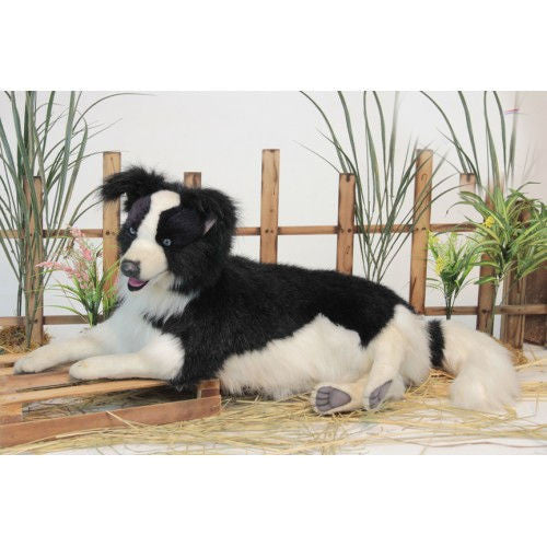 "Meadow" Border Collie