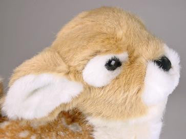 "Tawny" Fawn