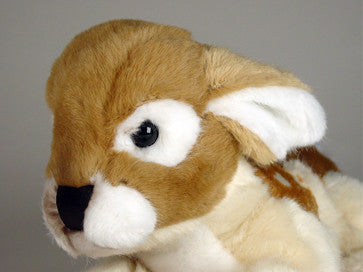 "Bambi" Fawn