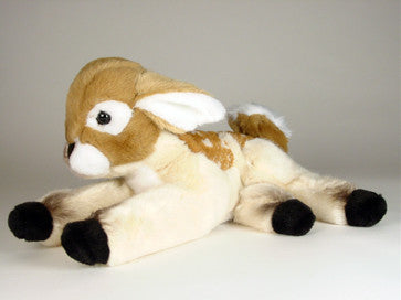 "Bambi" Fawn