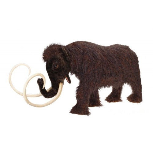 "Maury" Mammoth