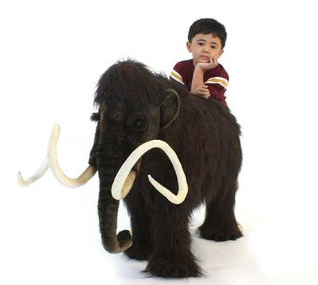 "Maury" Mammoth