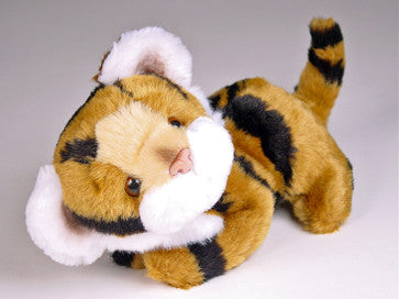 "Heathcliff" Bengal Tiger