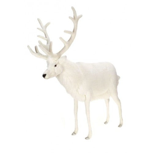 "Victor" White Reindeer