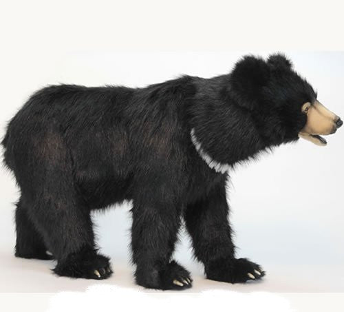 "Winnipeg" Black Bear Footrest
