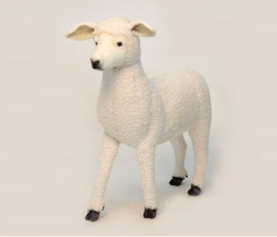 "Friday" Lamb Footstool