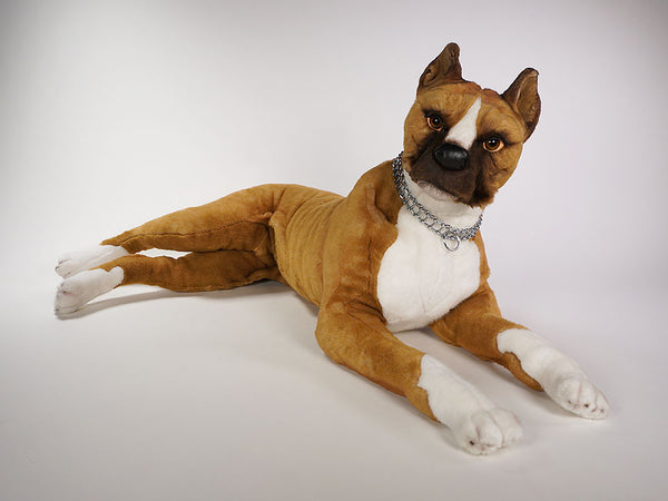 "Presley" Boxer