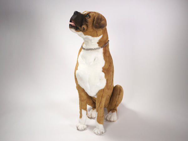 "Ali" Boxer