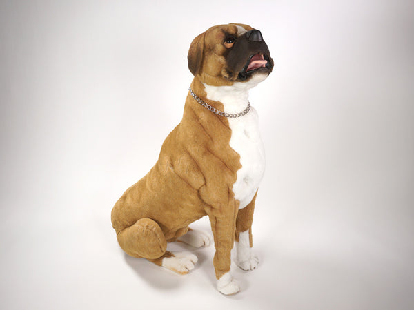 "Ali" Boxer