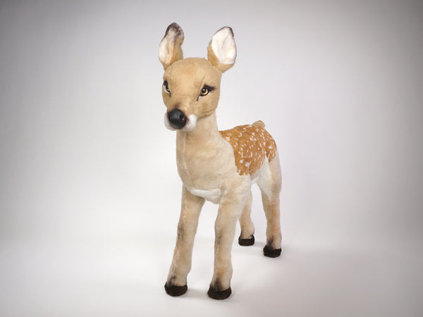 "Elain" Fawn