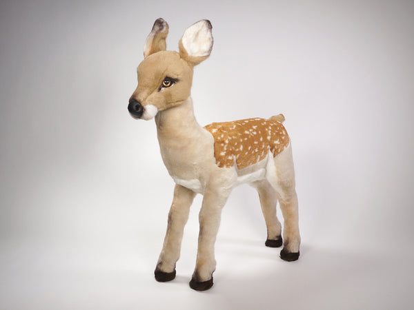 "Elain" Fawn