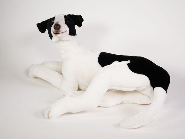 "Tinker" Greyhound Dog