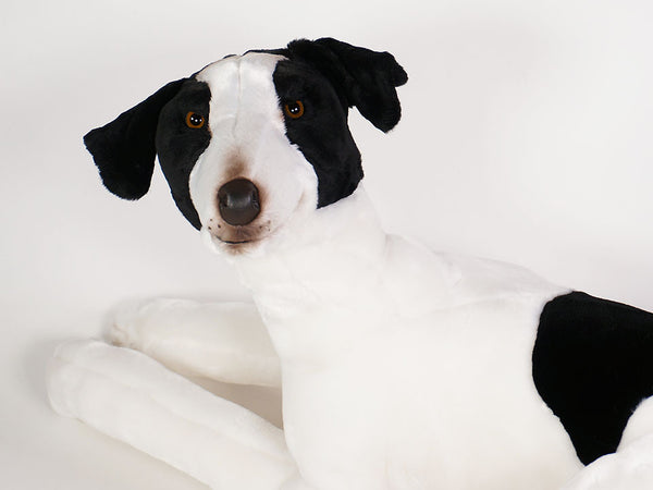 "Tinker" Greyhound Dog