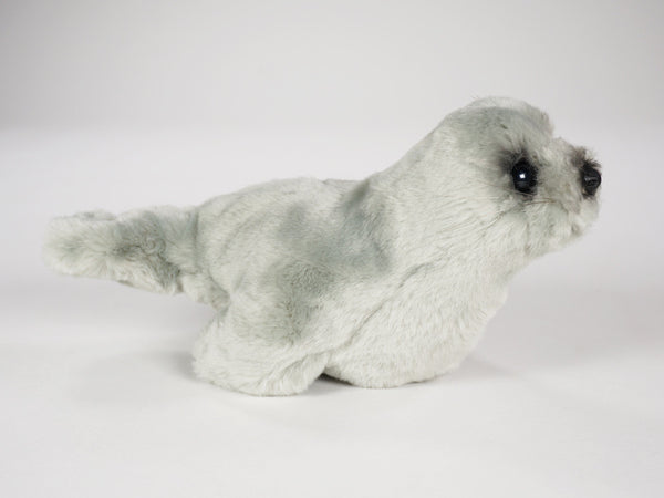 "Eloise" Monk Seal