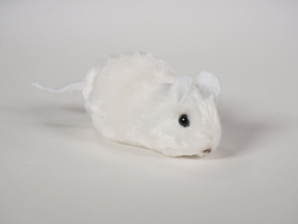 "Ralph" Mouse