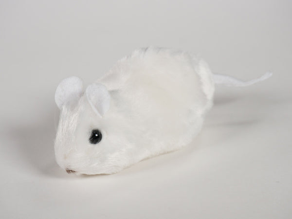 "Ralph" Mouse