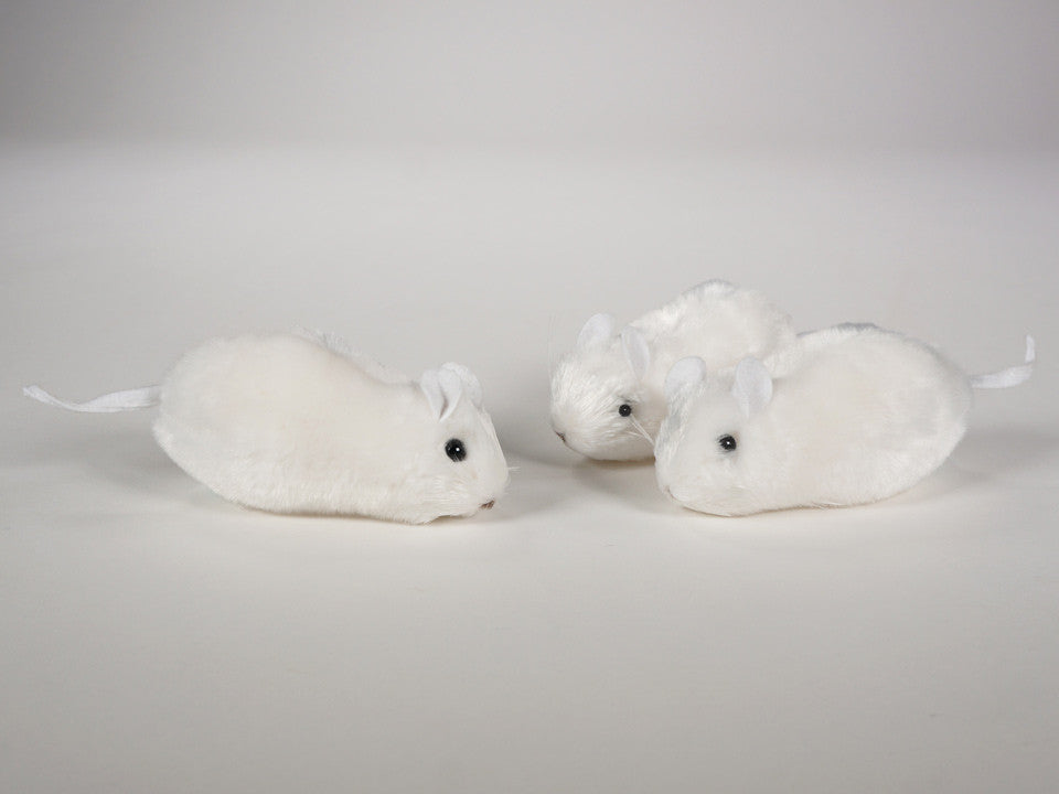 "Ralph" Mouse