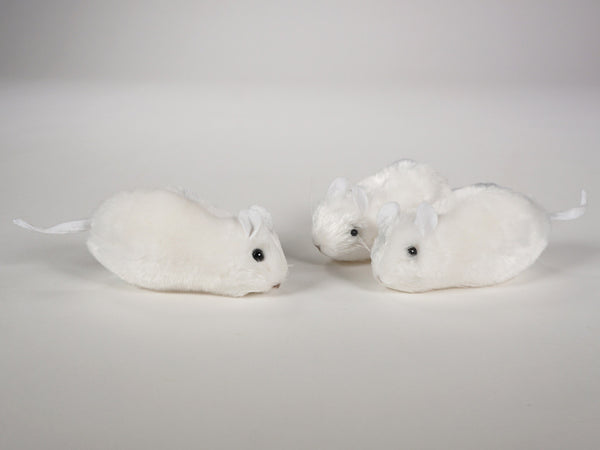 "Ralph" Mouse