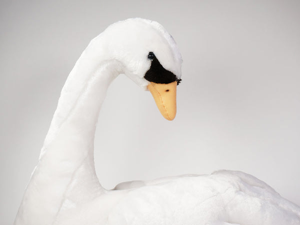 "Juliet" Swan