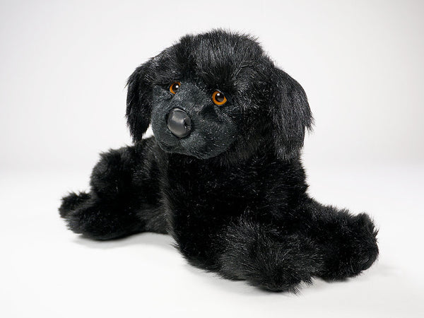 "Boatswain" Newfoundland
