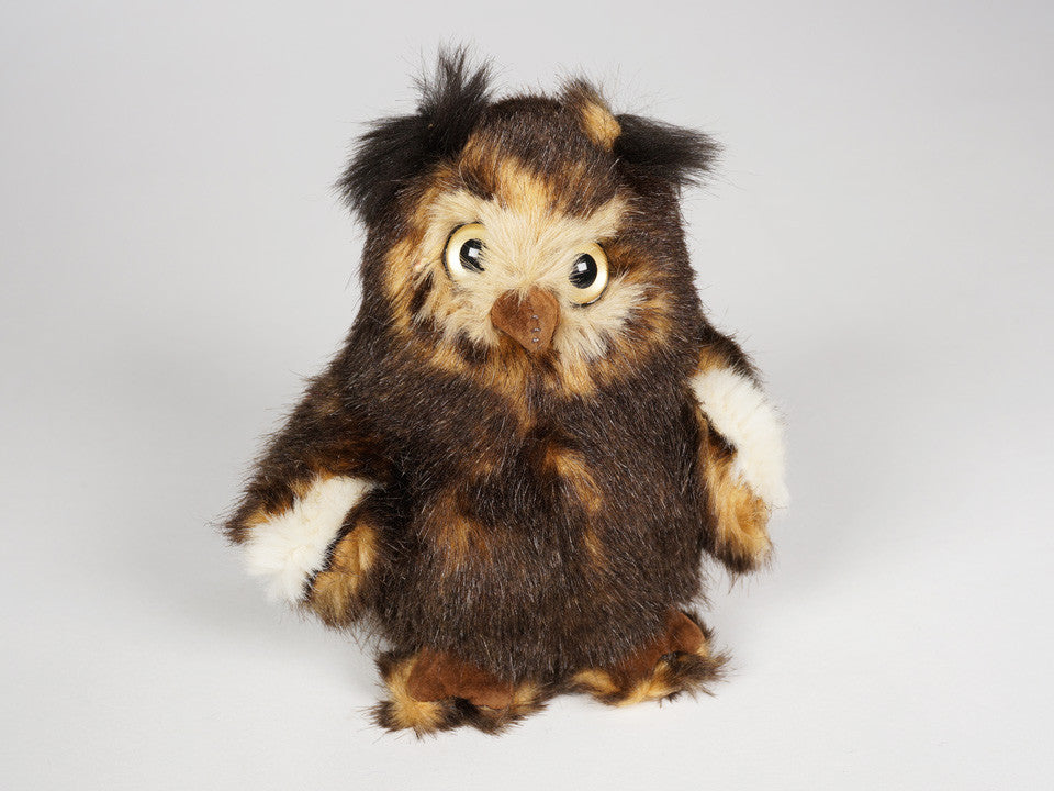 "Sammy" Owl