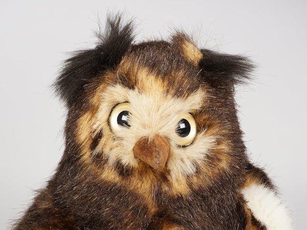 "Sammy" Owl