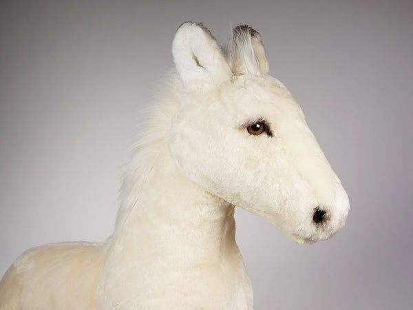 "Topper" Palomino Colt