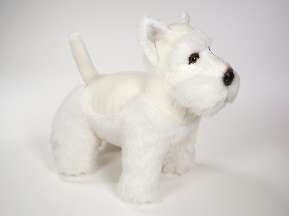 "Whiskey" Scottish Terrier