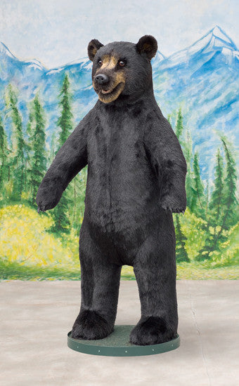 "Bart" Black Bear