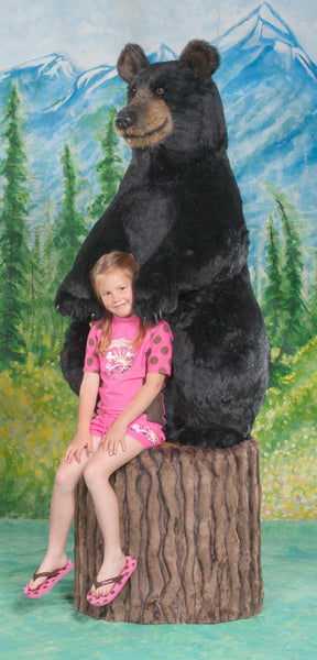 "Cubbie" Black Bear on Stump