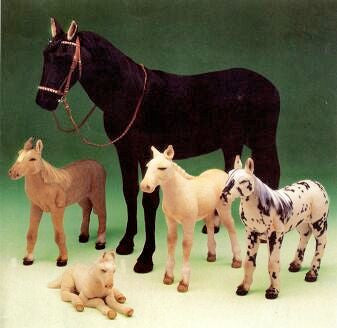 "Dice" Appaloosa Colt