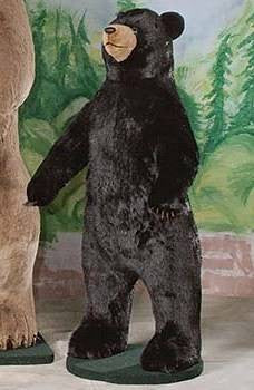 "Howdy" Black Bear