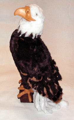 "Justice" Bald Eagle