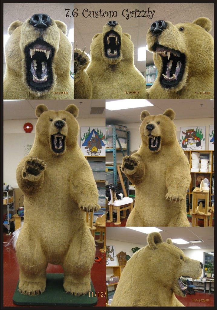 "Klondike" Grizzly Bear