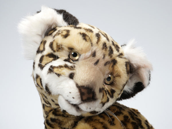 "Jane" Leopard