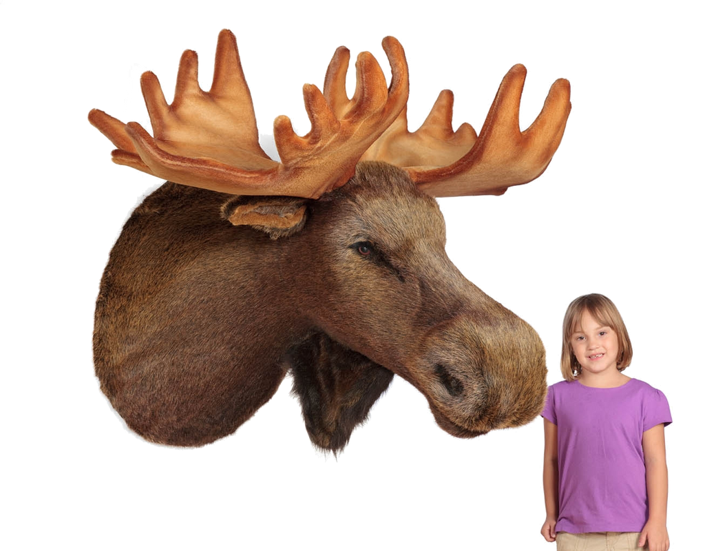 "Mariner" Moose Head Wall Mount