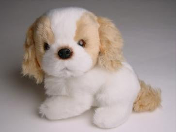 "Pickles" Cocker Spaniel