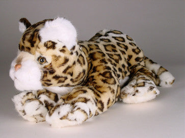 "Spot" Leopard Cub